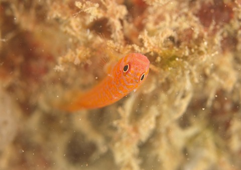 P9293615