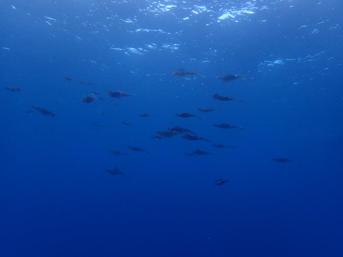 P2130169