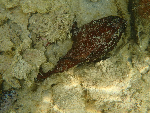 P6280355