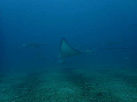 P1037226