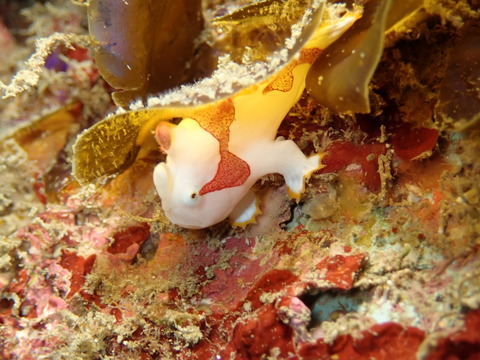 P1110294