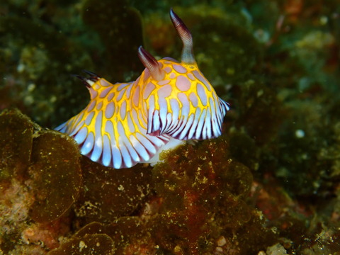 P3109008