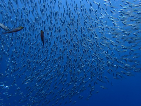 P6040770