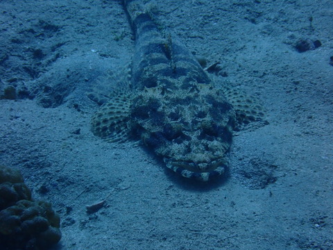 P3098970