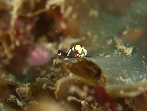 P1264636