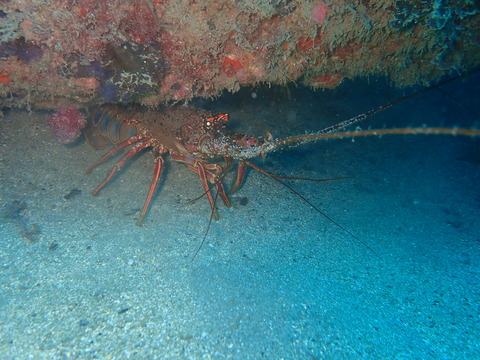 P7296068
