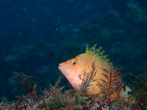 P6040757