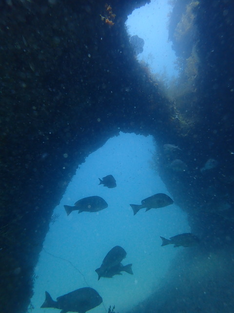 P5092889