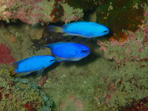 P9155003