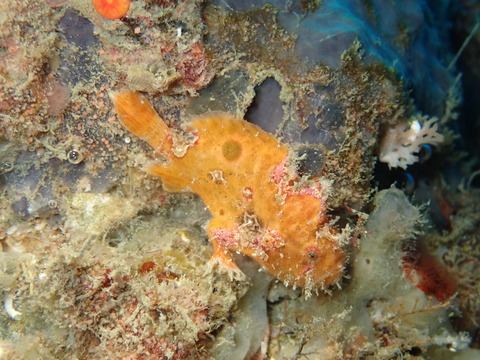 P1110424