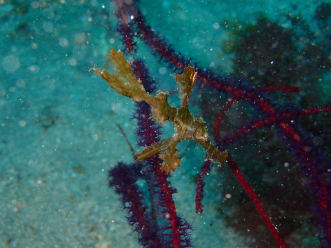 P1100175