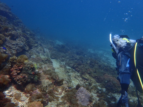 P3080063