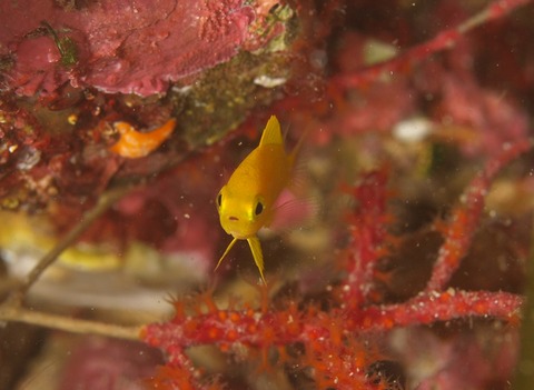 P9293557