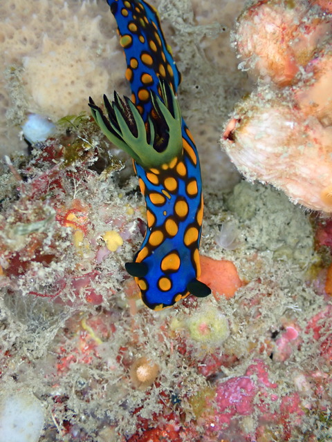 P2080840