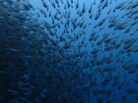 P6200321