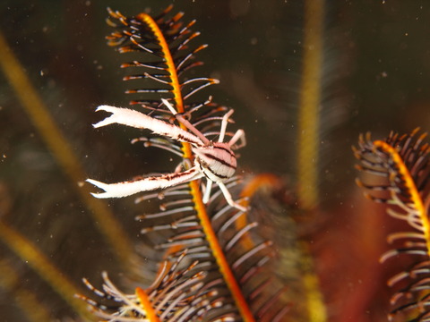 P9293565