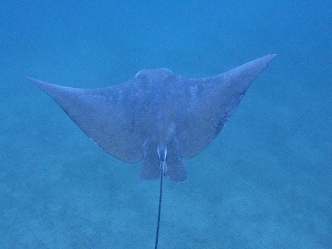 P2080970