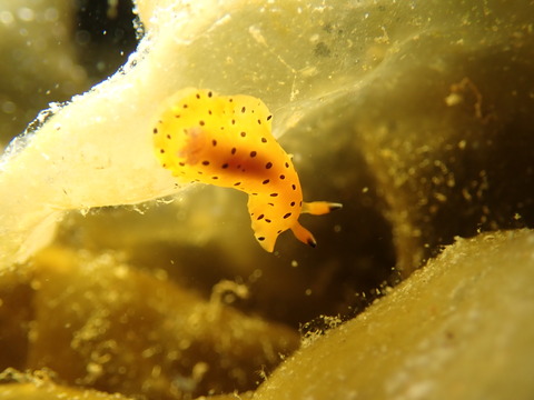 P3268976