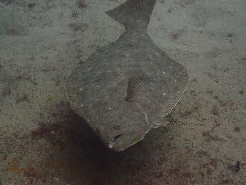 P5300055