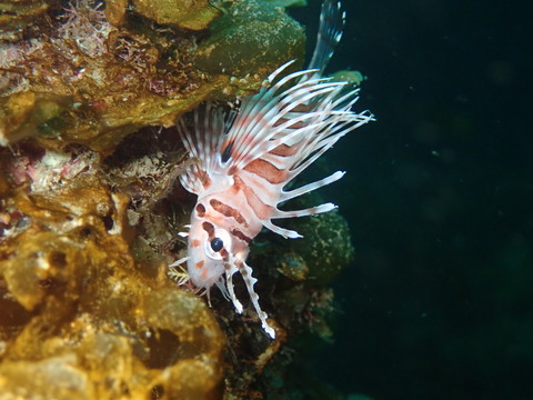 P3268979