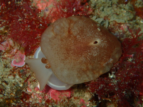 P2130147