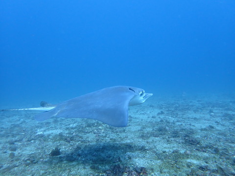 P2240465