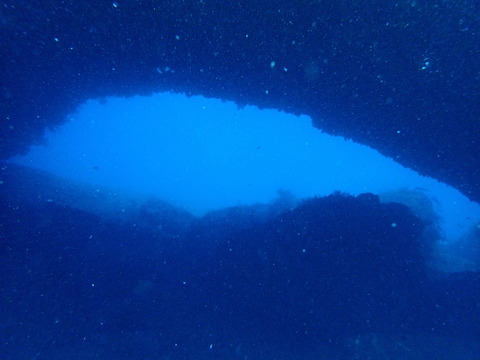 P1237589