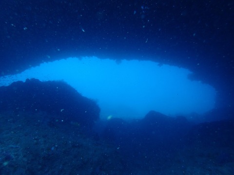 P1110426