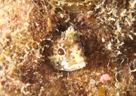 P1264687