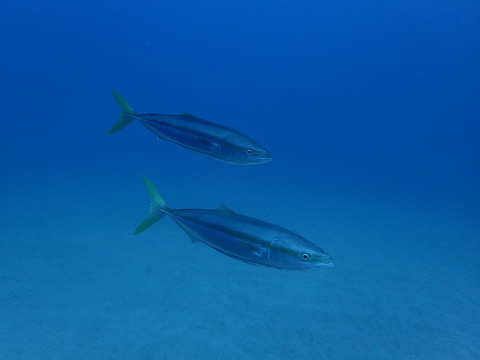 PC096203