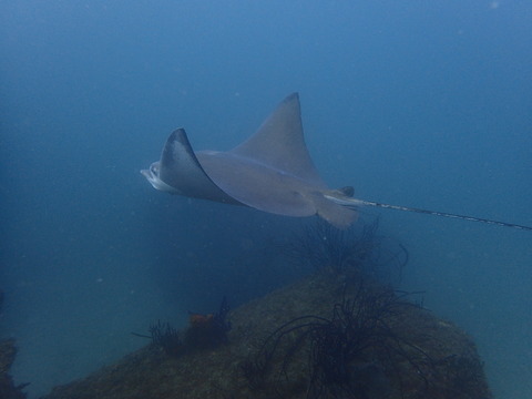 P2230116